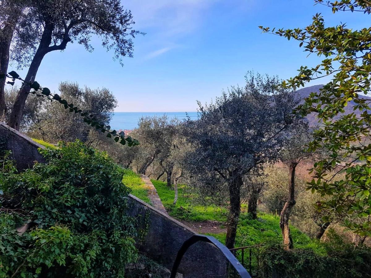 La Vivagna - Casa Vista Mare Tra Gli Ulivi Villa Leivi Exterior photo